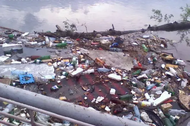 Amendă de 35.000 de lei aplicată Primăriei Cluj-Napoca pentru deșeurile de pe cursurile de apă