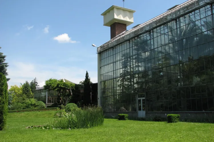 Serele Gradinii Botanice din Cluj-Napoca vor fi închise o zi