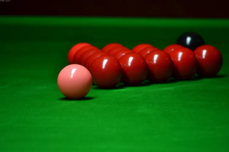 Snooker Club, apariție de clasă în Cluj - FOTO