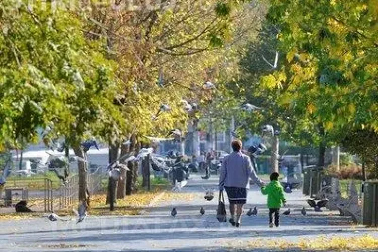 Scad temperaturile. PROGNOZA METEO pentru intervalul 12 noiembrie - 25 noiembrie