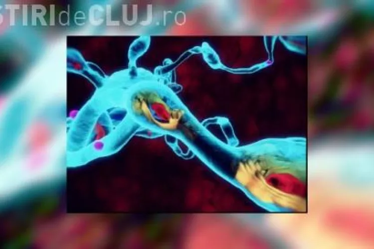 Descoperirea unui român poate vindeca inima. Celulele minune