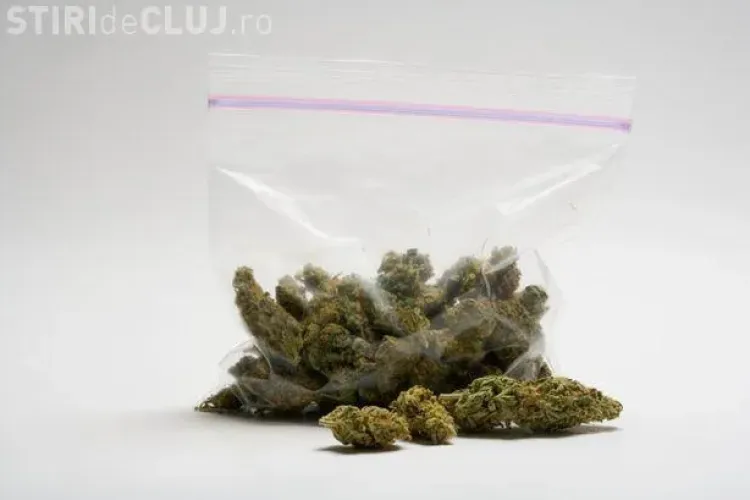 Doi tineri din Cluj au fost prinşi de jandarmi cu canabis. Dealerul are DOAR 18 ani