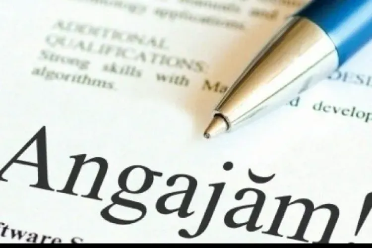 Cele mai multe joburi vacante în anul 2013. Află AICI domeniile