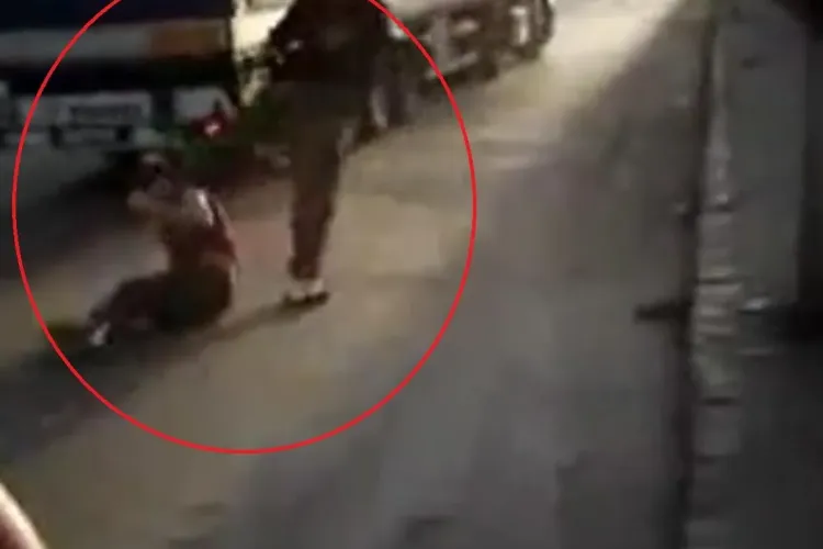 Și CFR Cluj are huligani! Suporter Steaua lovit cu bestialitate cu piciorul în cap și aruncat lângă roțile unui TIR în mișcare - VIDEO