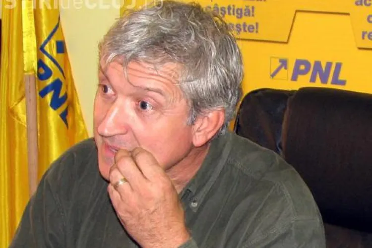 Curtea Constituţională a decis: Mircea Diaconu nu mai poate fi senator