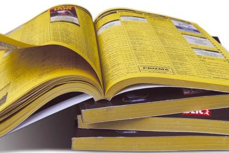 Pagini Aurii a dat faliment  