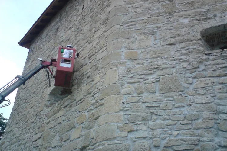 Cuib de albine mutat de la Bastionul Croitorilor - FOTO