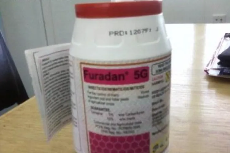 A baut Furadan si s-a sinucis  ca Madalina Manole. O femeie din Slobozia si-a pus capat zilelor