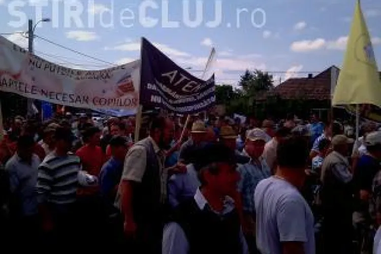 Fermierii nu s-au inteles cu reprezentantii Ministerului Agriculturii asupra schemelor de ajutor