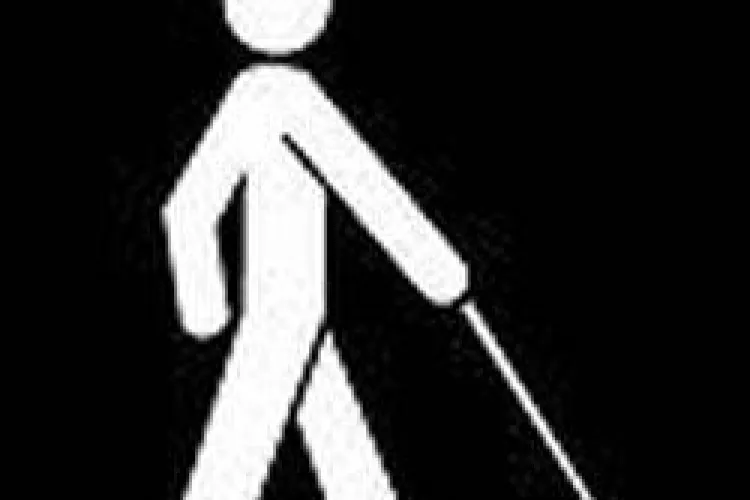 400 de nevazatori din Timisoara au permis de conducere auto