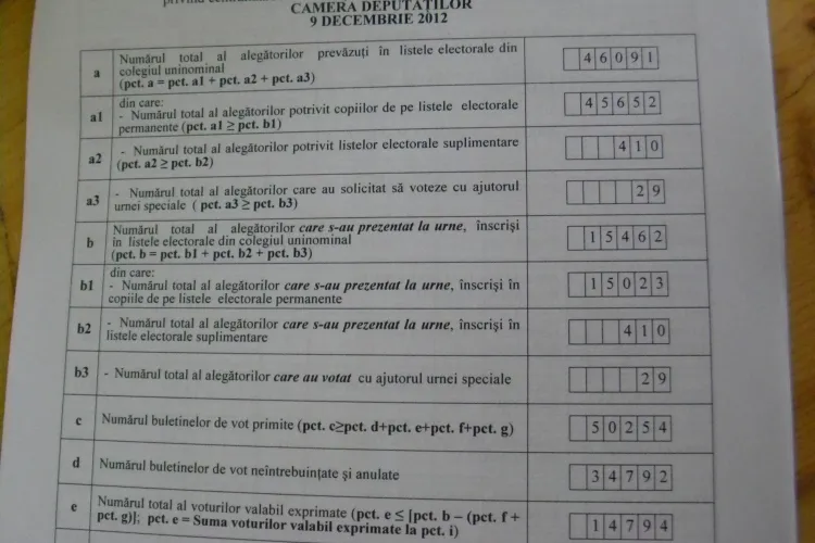Cluj - REZULTATE COLEGIUL 9 Camera Deputaţilor. Elena Uioreanu a câștigat la SCOR