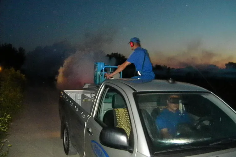 Începe a treia etapă de deratizare pe domeniul public în Cluj-Napoca. Operațiunea este făcută de firma Coral