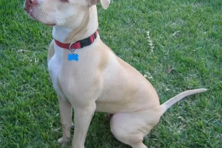 MITURI POPULARE despre care crezi că sunt adevărate