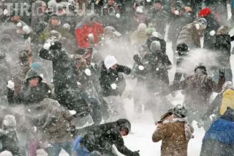 Bulgăreală publică în Piața Unirii  