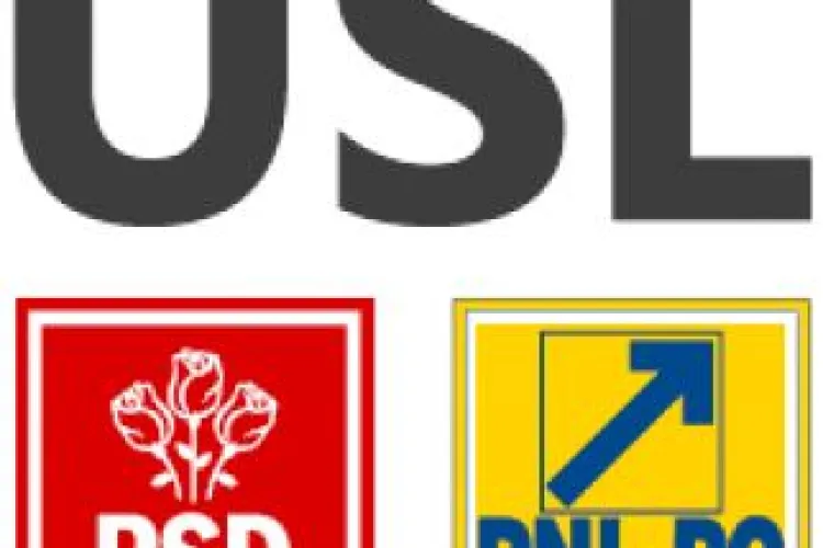 USL Cluj acuză PDL că folosește ”trupe de asalt” care rup materialele electorale ale Uniunii (P)