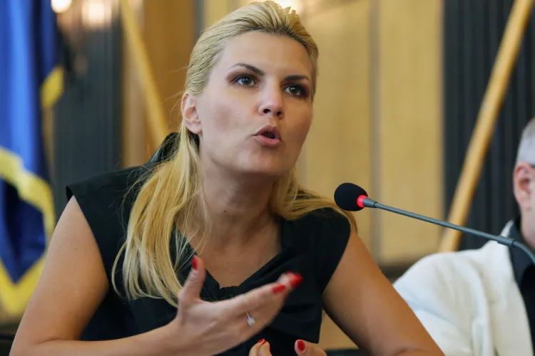 Udrea se gândește să preia șefia PDL