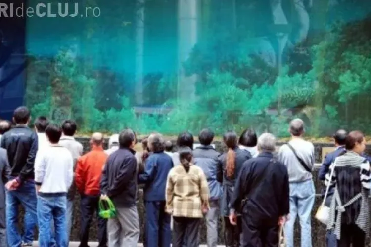 Un acvariu cu rechini de la un MALL din China s-a spart - VIDEO