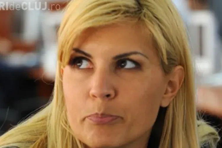 Udrea: Toți PENALII au intrat în Parlament cu 60-70%