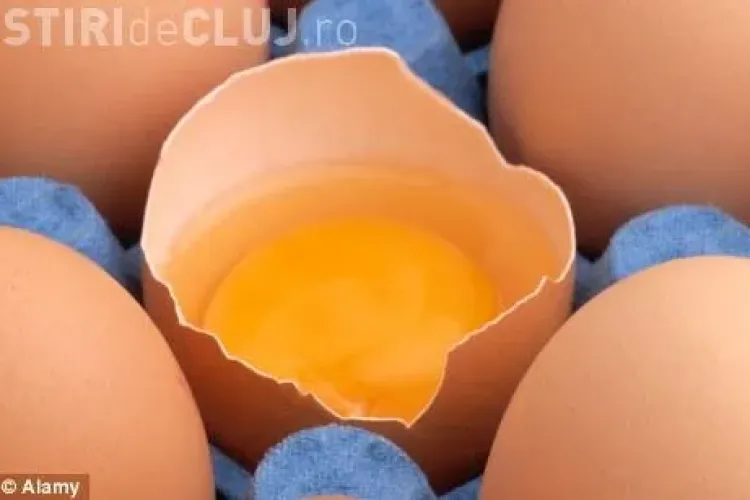 A murit din cauza celui mai STUPID pariu posibil