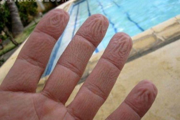 De ce ni se încreţesc degetele în apă? Vezi ce spun cercetătorii