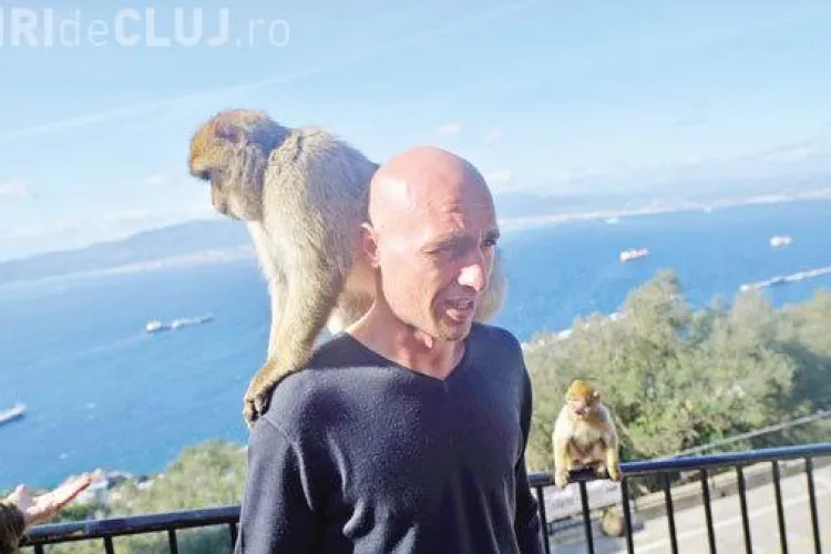 Jucătorii CFR Cluj, asaltați de maimuțe în Gibraltar