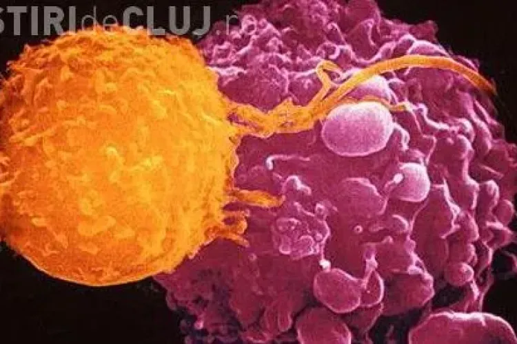 Posibil tratament pentru cancer şi HIV descoperit de oamenii de ştiinţă