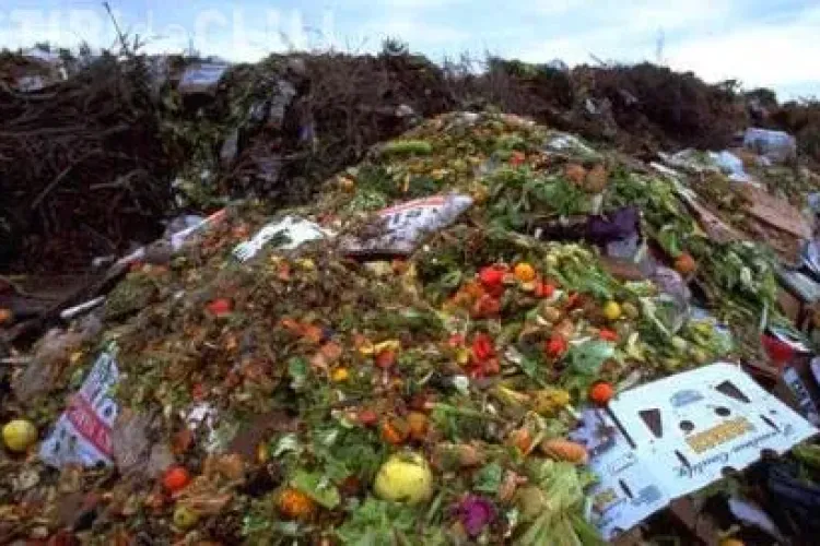 Jumătate din mâncarea cumpărată ajunge la gunoi