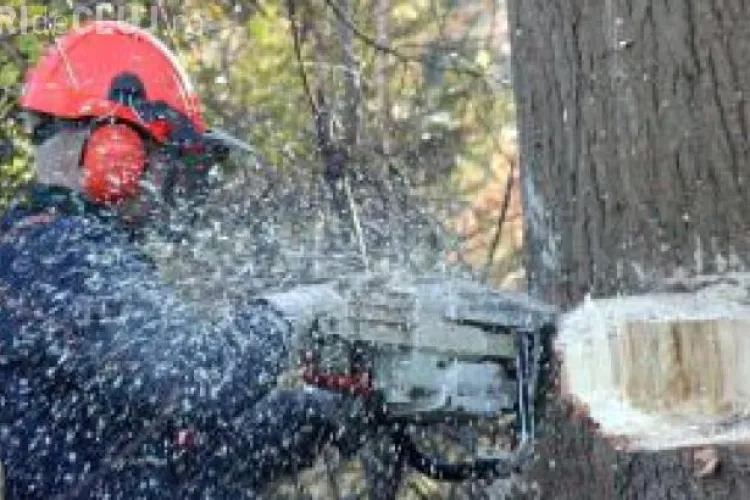 Topul celor mai periculoase job-uri din România