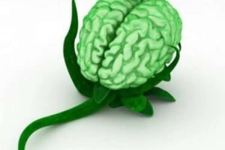 Cele mai eficiente metode pentru a-ţi menţine creierul în formă maximă