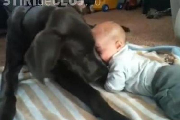 Video VIRAL pe Youtube. Prietenia incredibilă dintre un câine şi un bebeluş