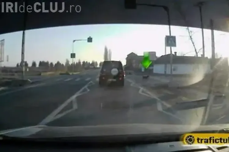 Pietonii clujeni sunt mai NECIVILIZAȚI decât câinii? IMAGINI cu patrupede pe trecerea de pietoni - VIDEO
