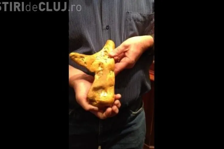 A făcut descoperirea vieţii lui! Vezi ce l-ar putea îmbogăţi