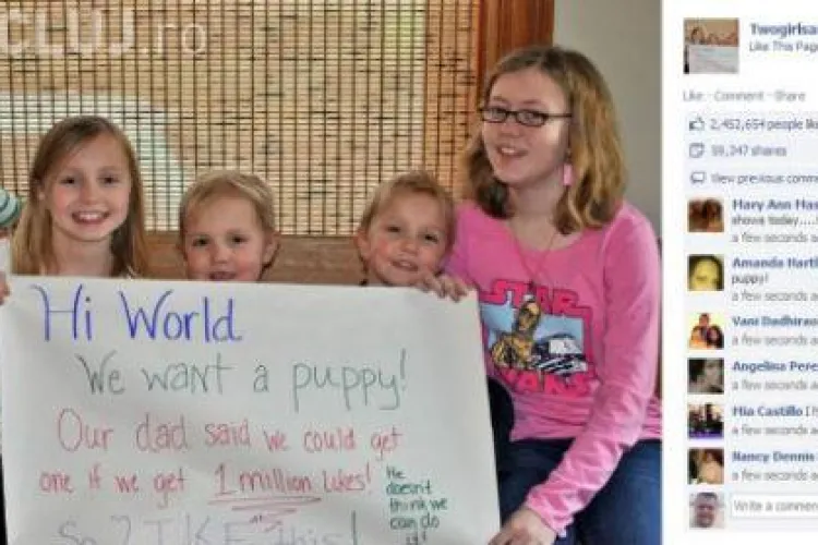 1 milion de like-uri. Atât a costat un căţel în America