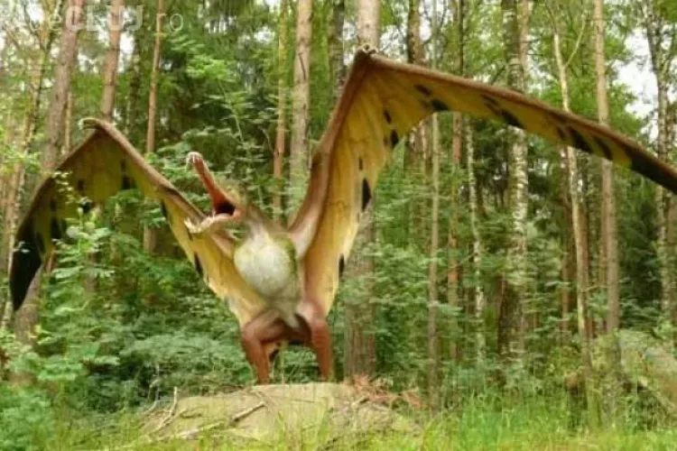 Fosilele UNICE în Europa, găsite de un cercetător clujean, donate Muzeului Ardelean din Cluj-Napoca