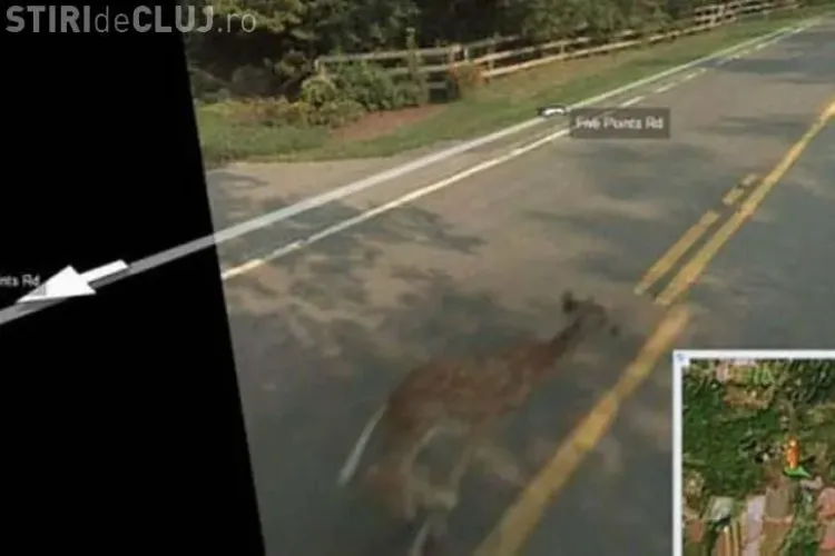 Top 10 - imagini NEBUNE surprinse de mașinile GOOGLE MAPS - FOTO