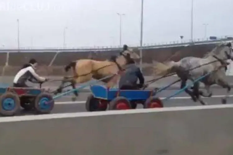 Liniuţă între căruţe pe autostradă - VIDEO