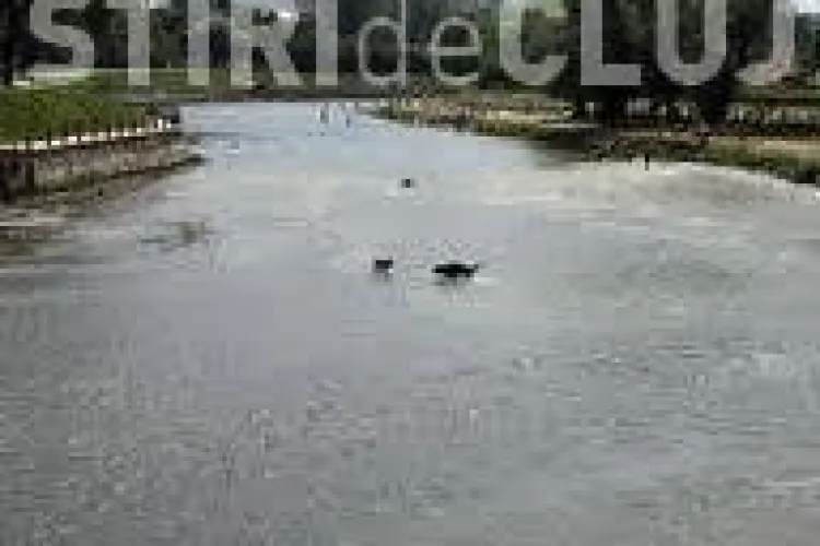 Proiect de 18 milioane de euro pentru devierea Someșului Mic în zona aeroportului