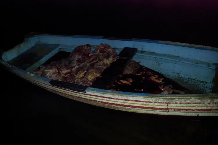 500 de kilograme de carne în lacul Tarnița. Posibil să fie de cal? - FOTO