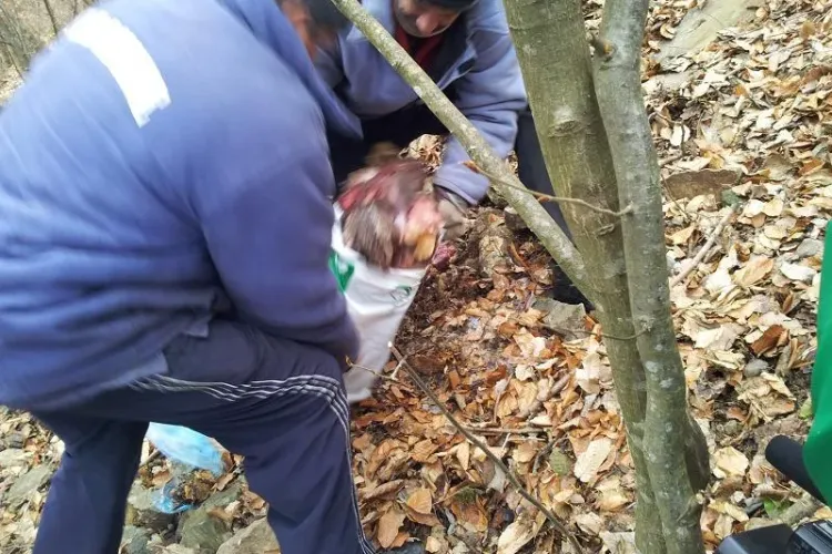 Carnea din lacul Tarnița este de cal. În total s-a găsit aproape o tonă de carne - VIDEO 