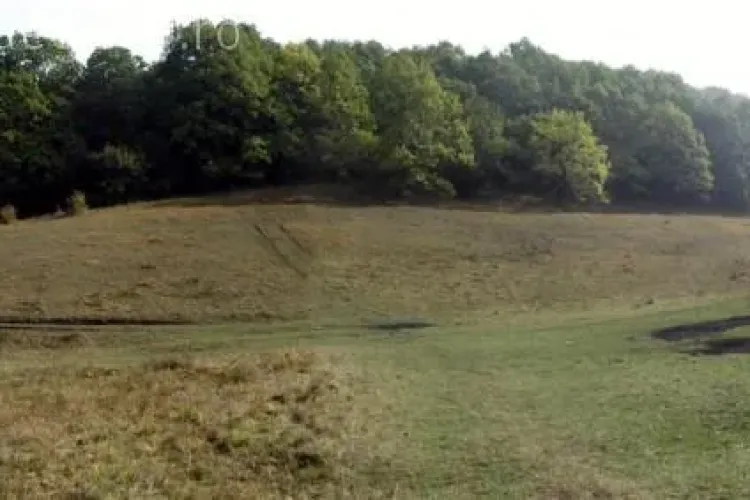 Primăria Cluj-Napoca pierde Pădurea Hoia în instanță. Terenul are 20 de hectare 