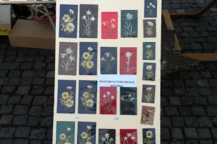 Floare de colţ presată, scoasă la vânzare în Piaţa Unirii! Floarea este protejată prin lege - FOTO