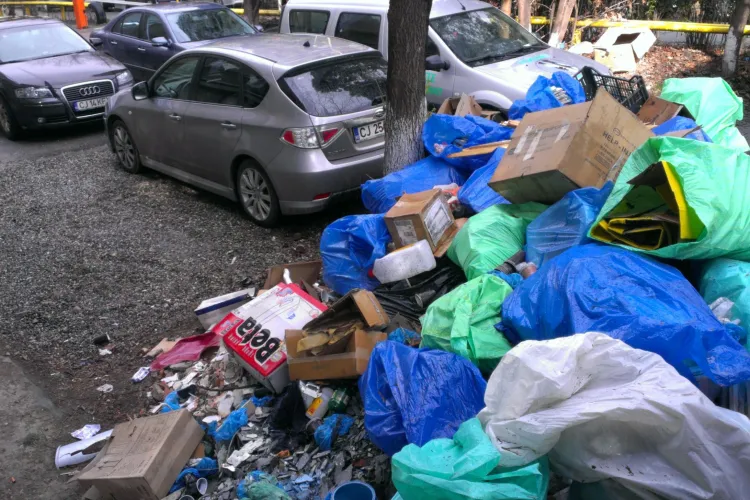 Gunoi, deșeuri medicale și miros insuportabil în curtea Institutului lui Mihai Lucan - FOTO