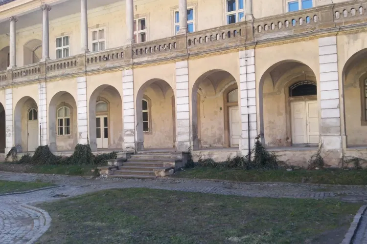 Muzeul de Arta Cluj este în stare deplorabilă - FOTO