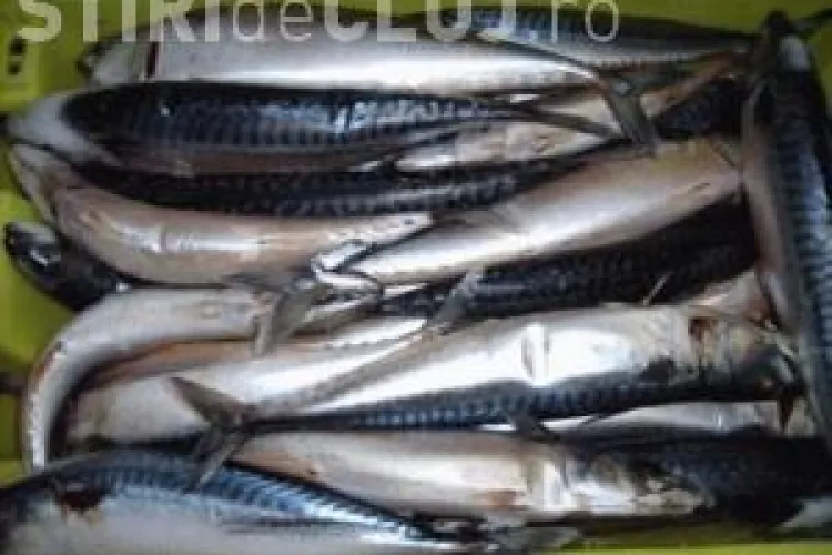 Pește contaminat, vândut și la Cluj 