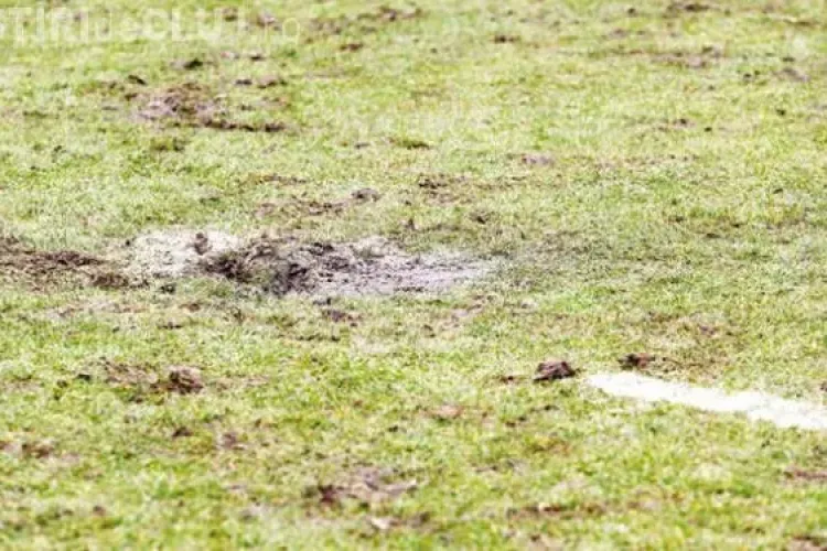 Șeful Cluj Arena: Gazonul nu a fost distrus de meciul de rugby