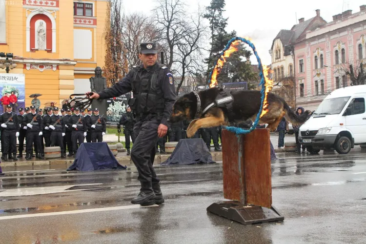Exerciții spectaculoase în Piața Avram Iancu de Ziua Jandarmeriei Române - FOTO