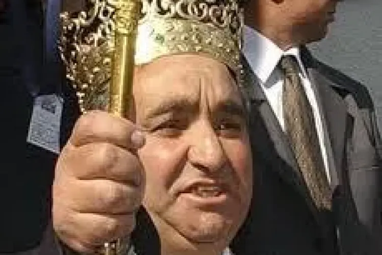 Cioabă vrea legitimații speciale pentru țigani, care să arate din ce țară sunt și ce infracțiuni au comis