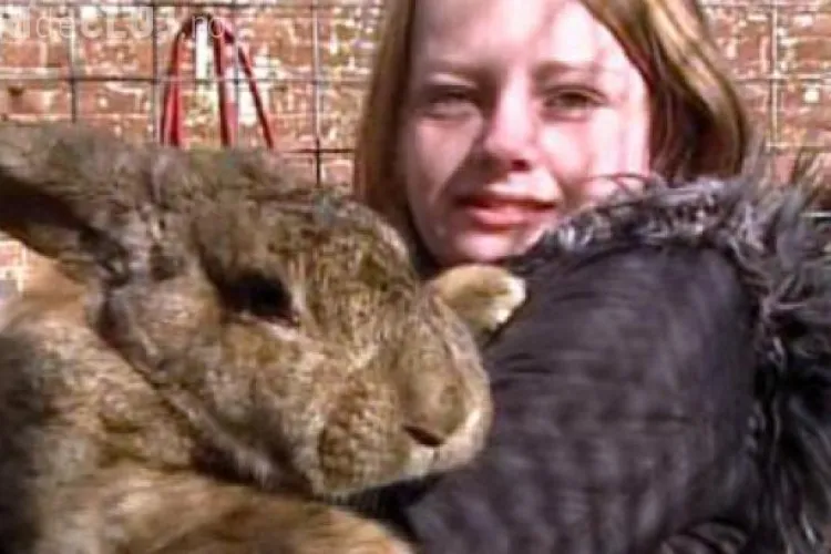 Ralph, cel mai mare iepuraș de Paște pe care l-ai văzut vreodată FOTO