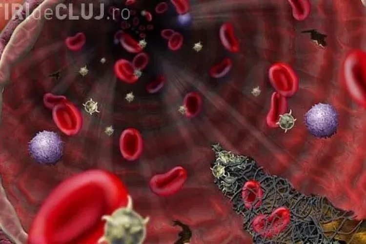 Misterul letal din sângele uman a fost descifrat