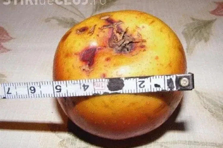 Mere ORDINARE primite de copiii din Gilău la școală! Un clujean le-a cântărit și măsurat